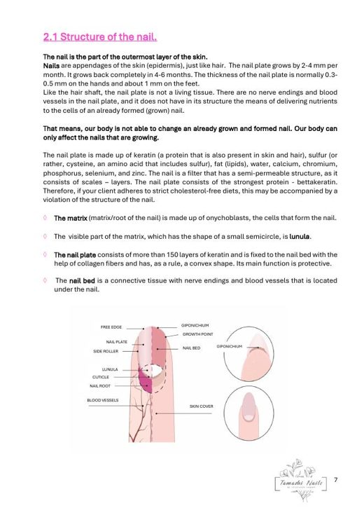 Guide preview — contents
